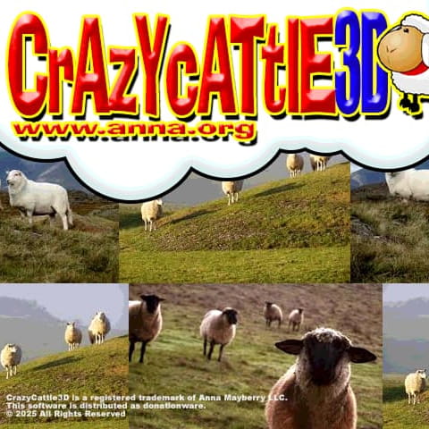 Crazy Cattle 3D