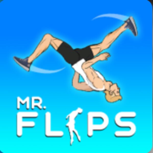 Mr Flips